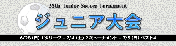 ��28�󥸥�˥����