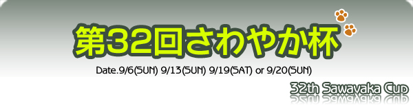 ��28�󥸥�˥����